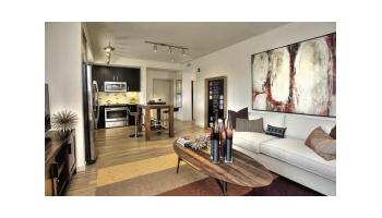 SPACIOUS 1 BED/ 1 BATH APARTMENT IN MANHATTAN NEW YORK